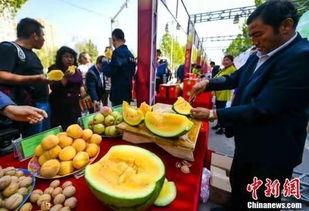 吃瓜爆料柳州视频大全最新,视频大全揭秘城市生活百态