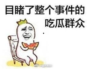 摸鱼吃瓜爆料超有趣,摸鱼吃瓜，趣闻爆料大集合