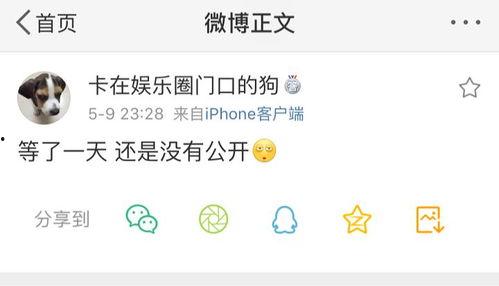 吃瓜等爆料小说,揭秘网络爆料的背后真相