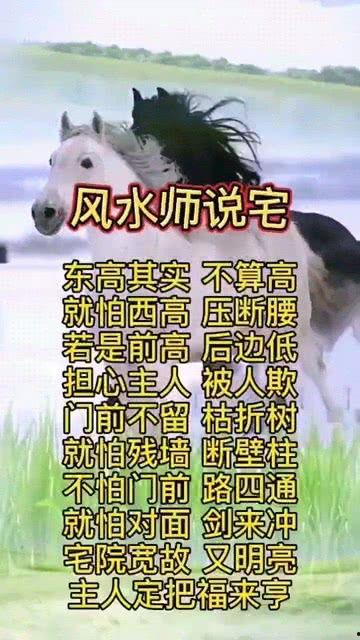 吃瓜爆料风水大师说,吃瓜爆料中的风水大师之谜